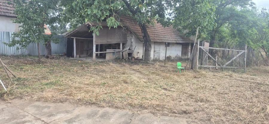 Vand casa in Sculia,Ora?ul Gataia,Jud Timi? (2158mp) - 10