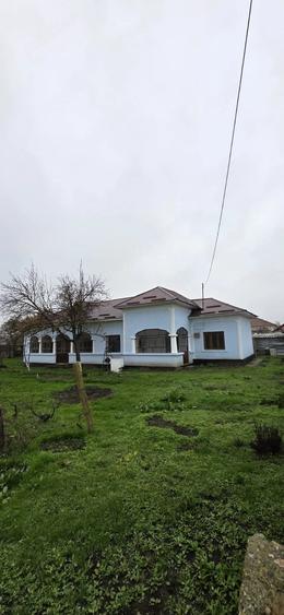 Casa de vanzare in Li?a (Teleorman) - 10