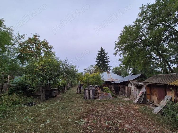 Casa cu teren 3.682 mp, sat Radu Voda (com. Lupsanu, jud. Calara?i) - 1