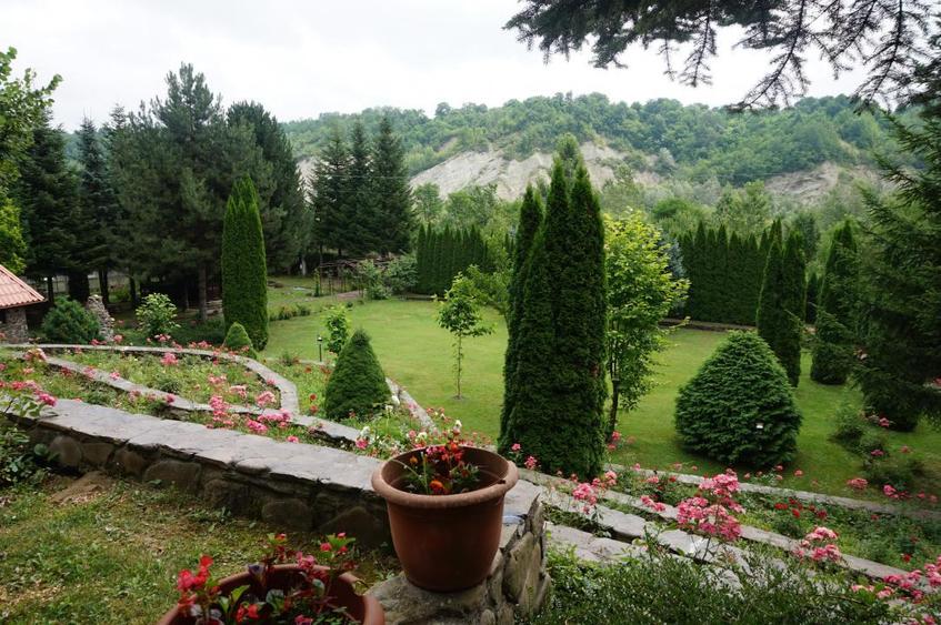 Campina Valea Doftanei Sotrile Paltinu - 5