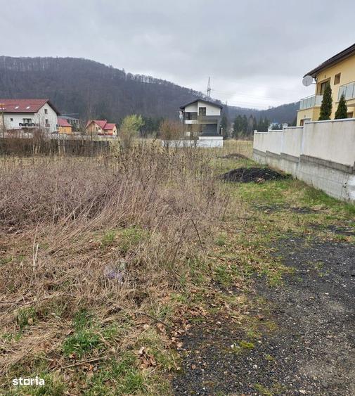 Teren intravilan intre case in Bunloc, langa padure 604 mp - 3