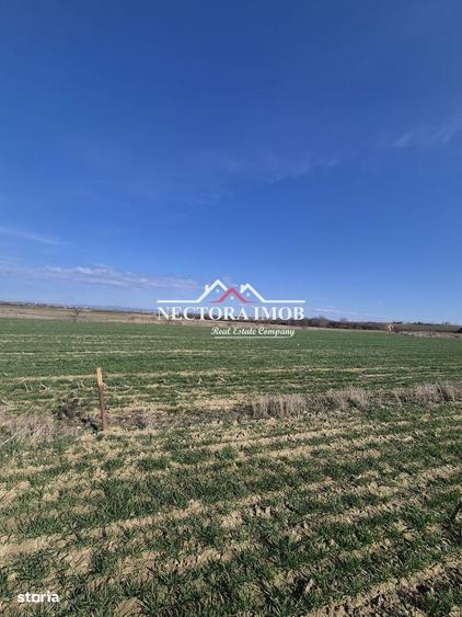 NECTORA IMOB-Teren Intravilan 537 mp, Zona Solay, 250 m de asfalt - 4
