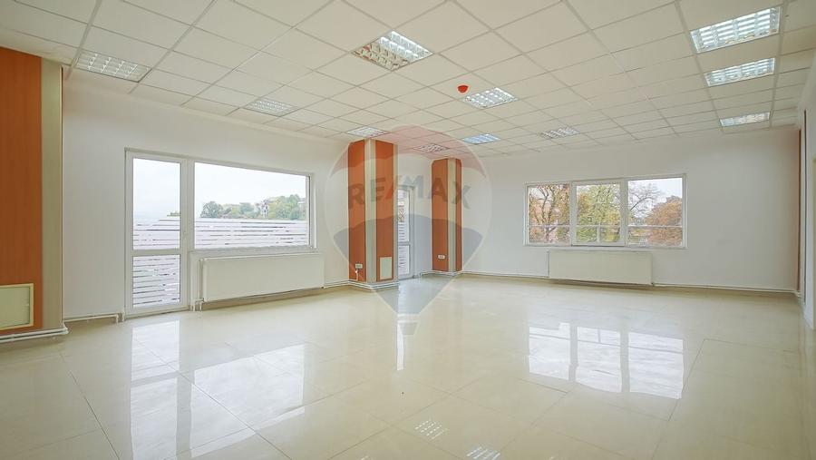 Spatii BIROURI - DE INCHIRIAT- CUZA | Posibilitate închiriere pe nivel - 1