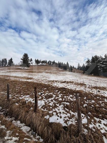 Teren extravilan 8290 mp, Front 50ml - Sadova - Panorama Bucovinei - 1