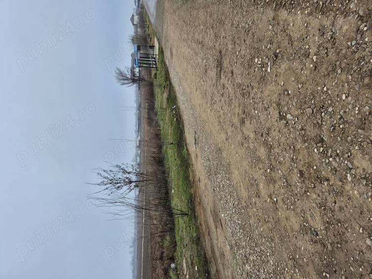 vanzari terenuri - 1