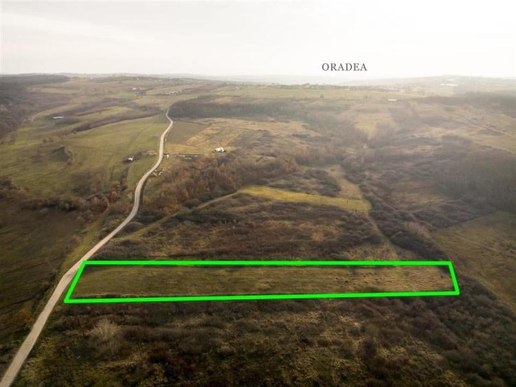 RECO . Teren extravilan . Uileacul de munte - 5