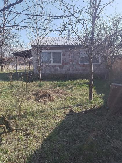vand casa cu gradina - 5
