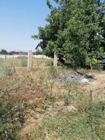 Teren intravilan Mineri, Jud. Tulcea, suprafață 856 m - 5