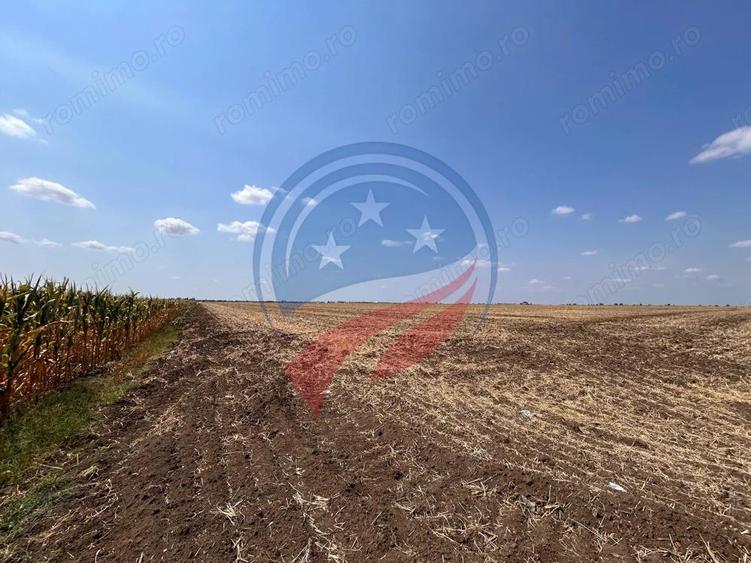 Teren intravilan 5087 mp de vanzare Piele?ti - 5