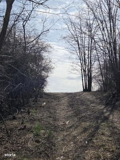 Teren de vanzare Pata Cluj - 6