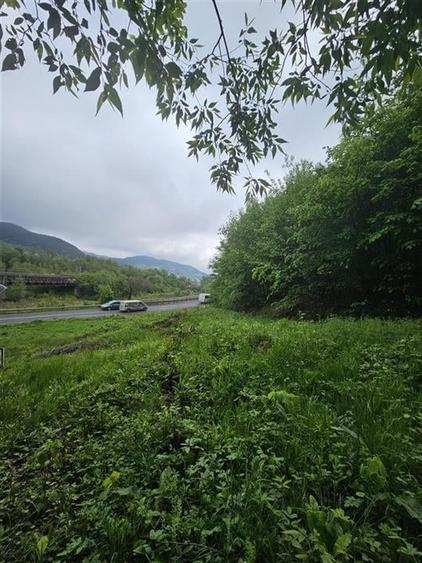 TEREN  PENTRU BUSSINESS 2842 MP DE VANZARE IN STATIUNEA  TARGU OCNA - 7