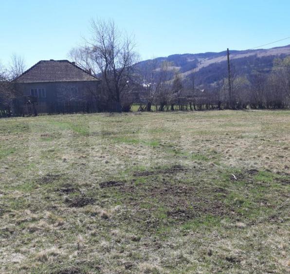 Teren extravilan 1.000 mp Valea Draganului - 3