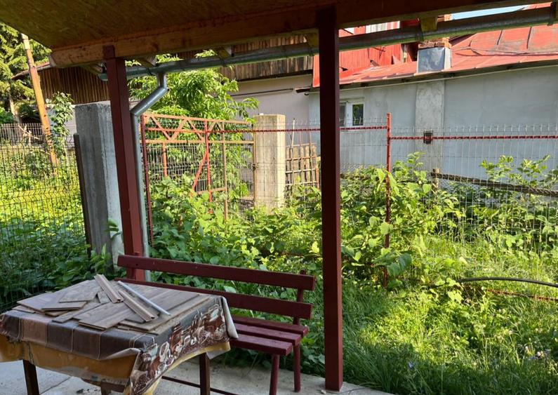 Vand apartment Busteni - 2