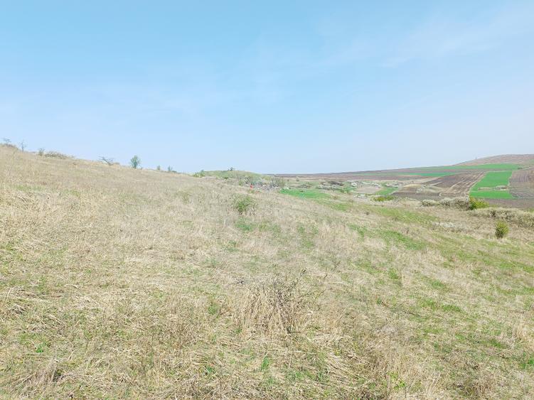 Teren extravilan în Dezmir. - 4