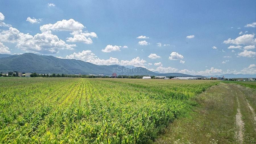 Teren intravilan - 12