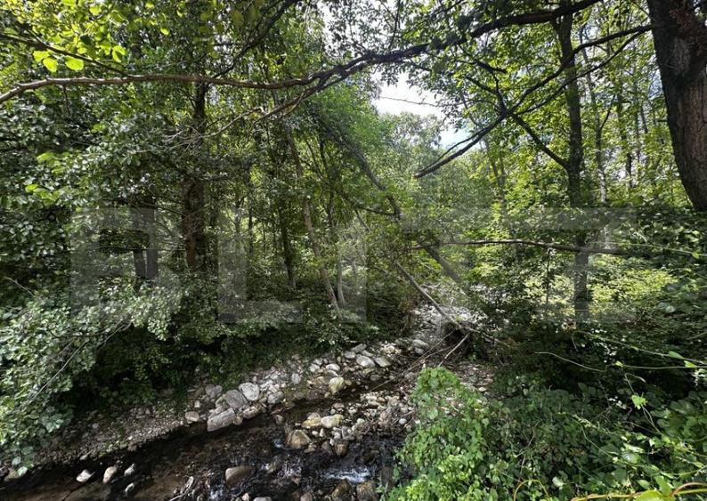 Teren, 12 000 mp, zona Crasna - 1