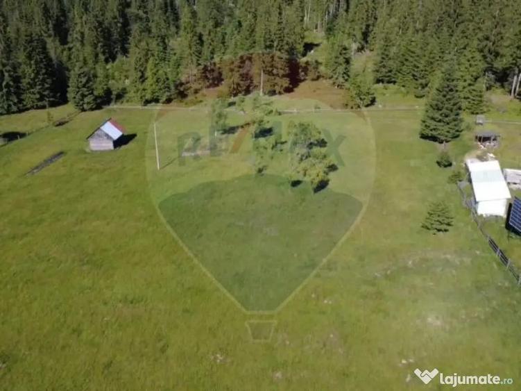 Teren 19,370mp Neagra Sarului / Strada ?estina - 3