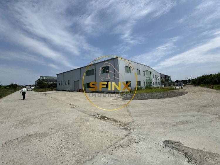 Hala si birouri zona Mogosoaia sos Odai - 18