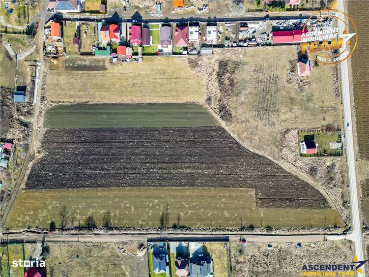 Proprietate remarcabila: 32.000mp teren, acces direct DJ112,Ilieni,Cov - 5