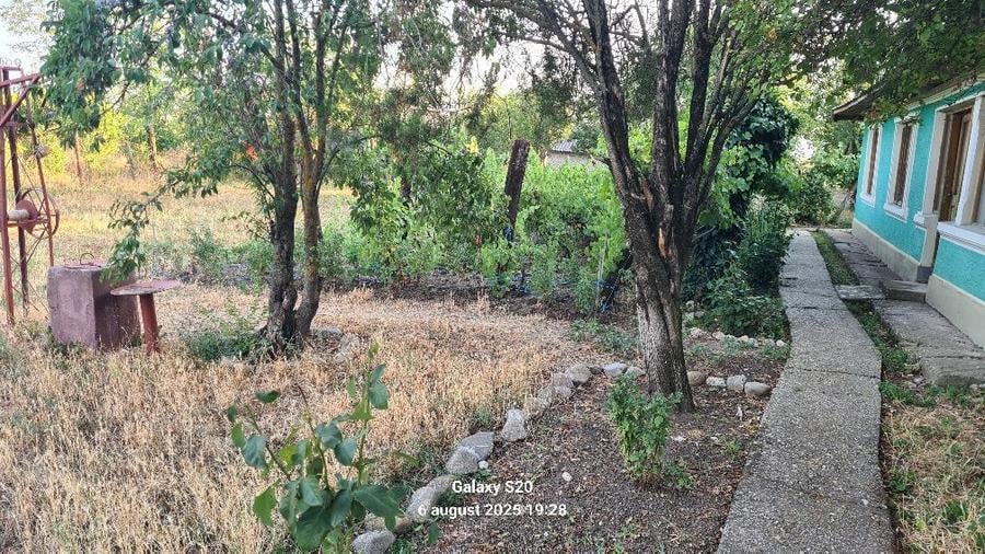 Casa de vanzare!!!Terenul aferent casei 5000mp - 6