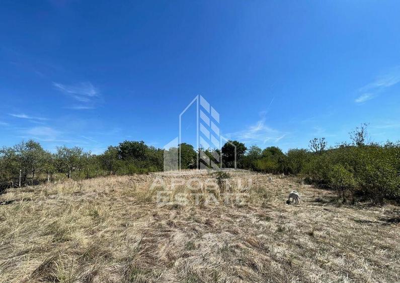 Casa cu teren 3407 mp, la asfalt, Seceani, 26 km de Timis... - 1