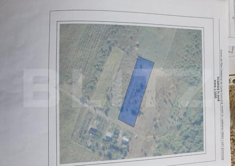 Teren, 21.5 Ari, zona Padurea Sigmirului - 1