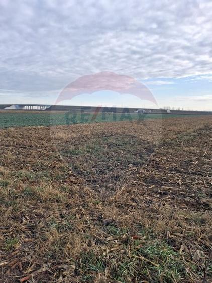 Teren intravilan 3400mp de vânzare la Sântion - 3