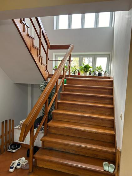 Vila 2008 str Ana Ipatescu - 2