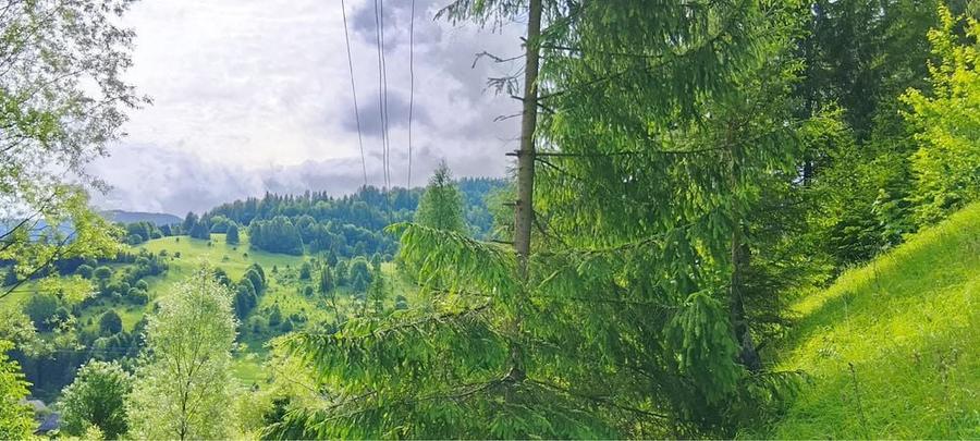 Teren munte situat la poalele muntelui Ceahlau - 6