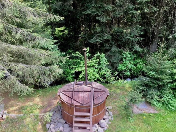 Casa din grinzi pe marginea paraului Borzont - 3