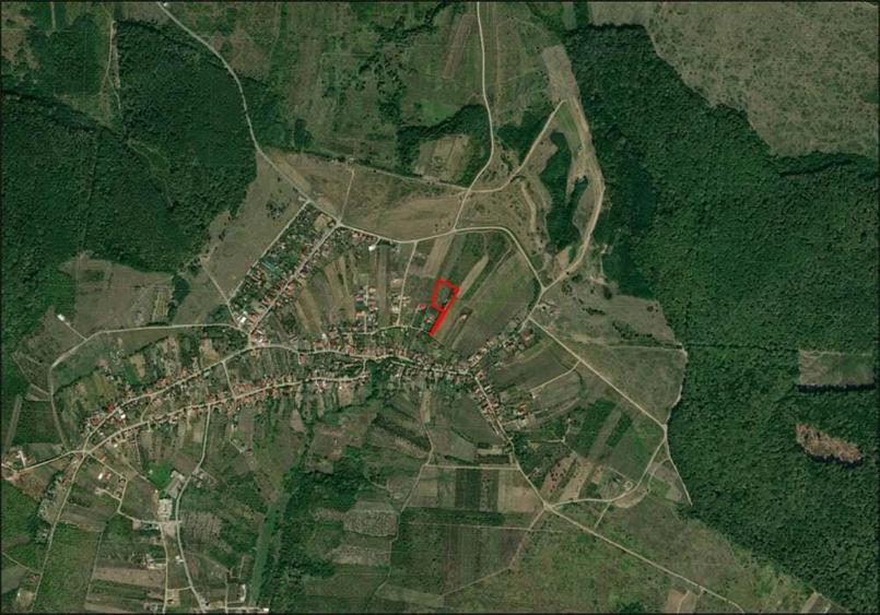 Teren intravilan - Saldabagiu de munte - 5000 mp. - IMOBIHOR - 4