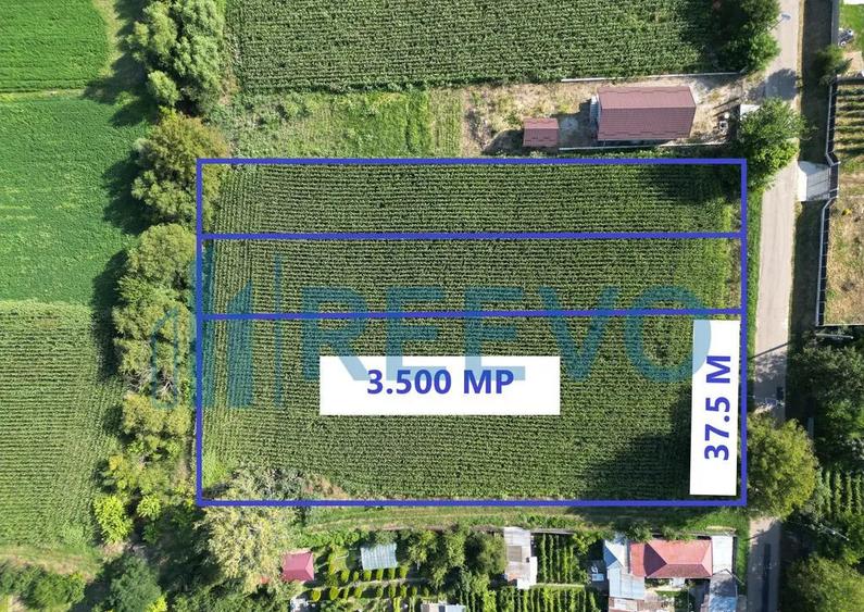 Teren intravilan de vanzare, Sat Bogdan?ti, Com. Traian - 11