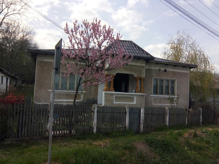 Casa de vanzare la Strada + Pamant . Septebrie . - 3