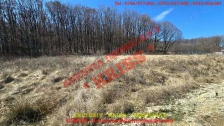 Nou Pe Pia?a TEREN Hin?e?ti Tipografie 847 Mp. 26 M deschidere Toate Utilita?i