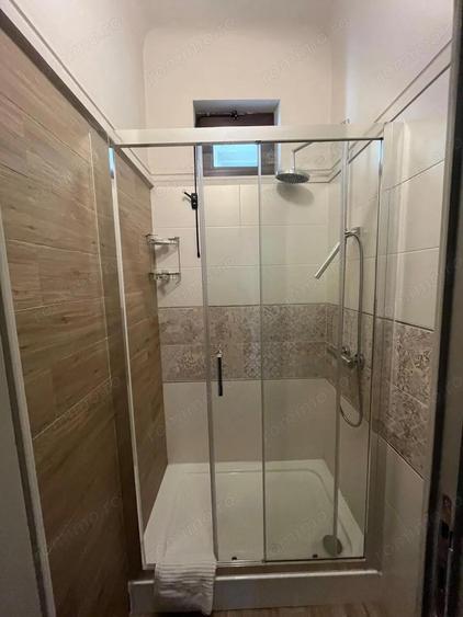 Kiseleff-parc, 3 camere, etajul 1/D+P+1+M - 3