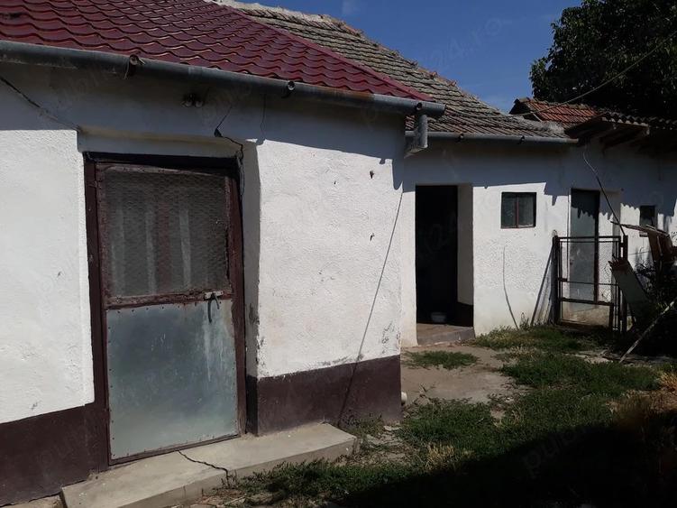 Uivar , loc bun , liniste !!! - 11