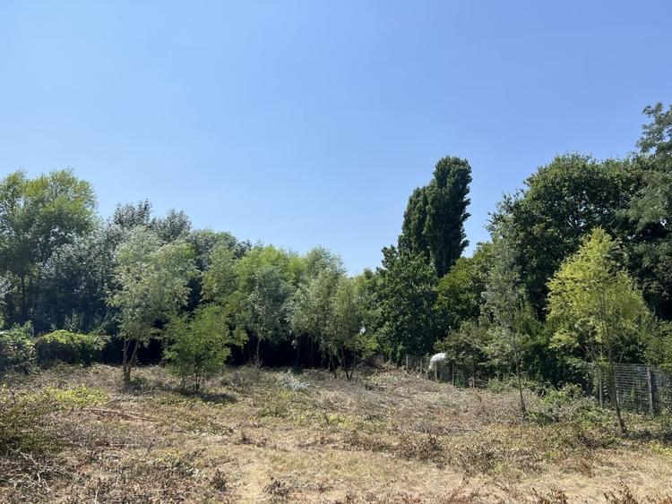 Teren cu deschidere la Lac Snagov. - 3