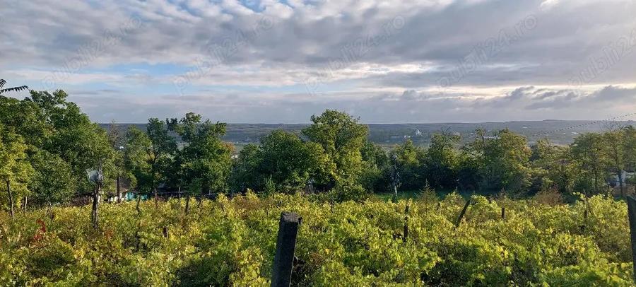 casa batraneasca de vanzare - 1