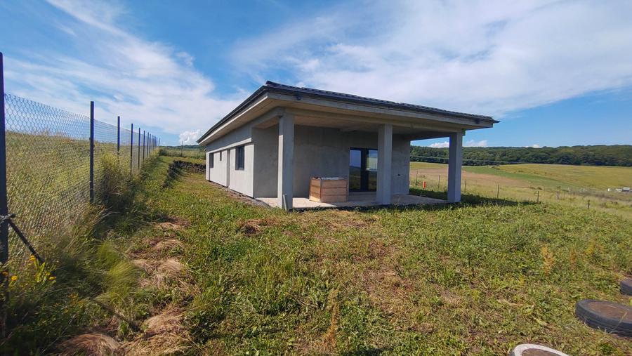 Vand casa in Salistea Noua - 2