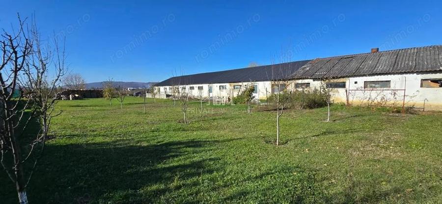 Teren de vanzare, Albesti, Sighisoara - 4