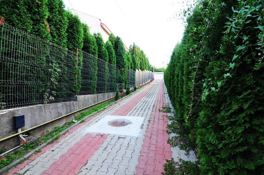 Bucium - Pleiada, locuinta P+M, disponibila imediat! Bun venit acasa! - 3