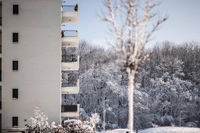 Apartament de 2 camere  - Complet mobilat si utilat - Greenfield Residence - 2