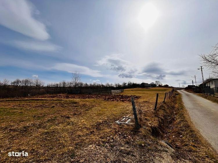 Teren intravilan ideal pt cabana - 5