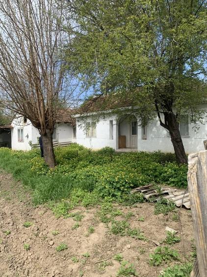 Casă cu 4 camere în Ciorăști