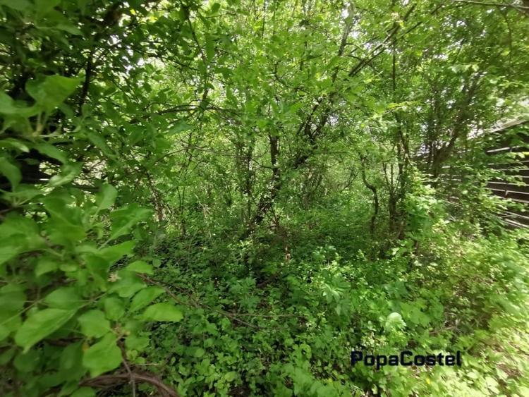 Otopeni Oituz teren 1000 mp deschidere 14 ml utilitati langa teren - 3