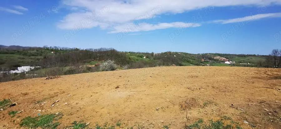 Parcele intravilan cu extravilan Calea Caransebesului km 2 loturi de 1000 mp negociabil - 7