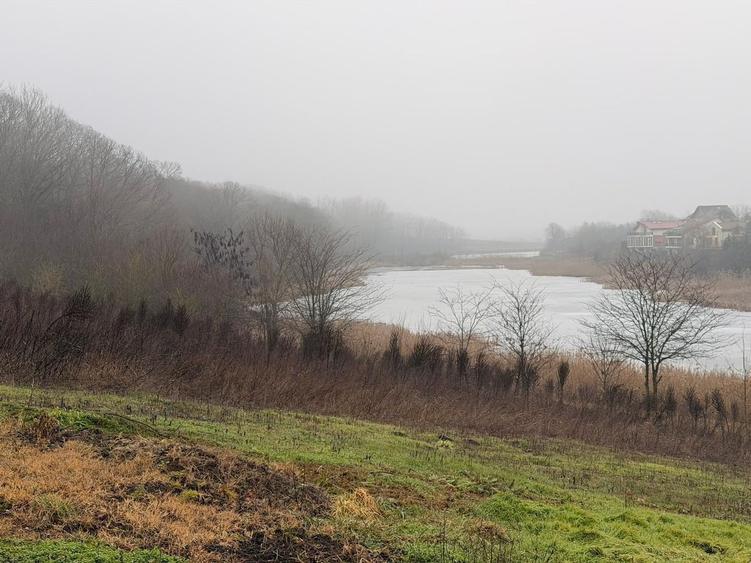 Teren cu deschidere la lac | 50 m Padure | 1000 MP - 2