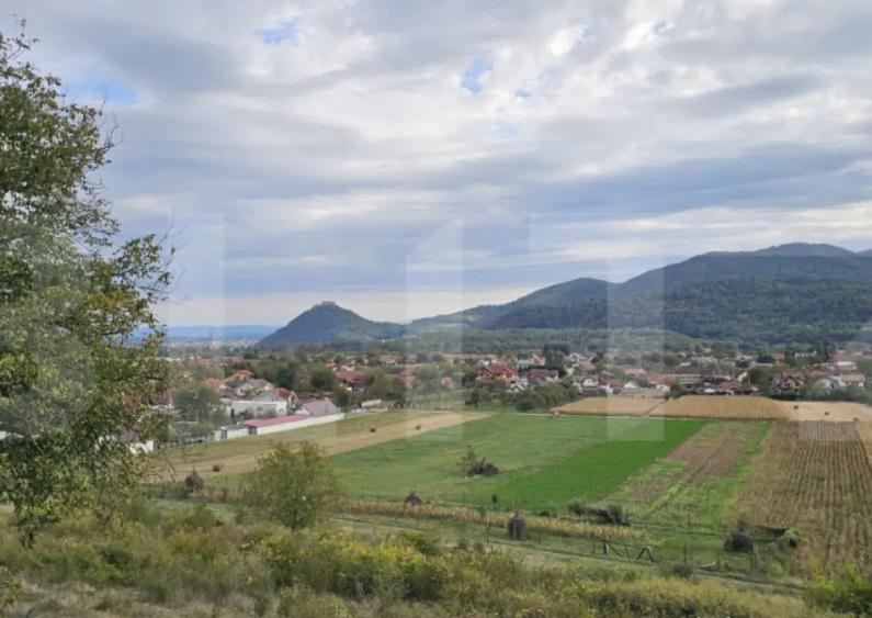 Vila la ro?u, 240 mp, teren 93.000 mp - ?oimu? - 2