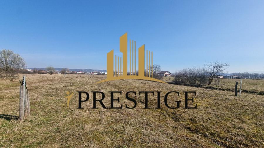 TEREN DE VÂNZARE 1000 MP ȘELIMBĂR ZONA TROIȚĂ | INVESTIȚIE - 9