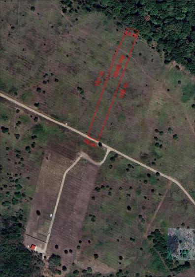 4040 Mp. teren INTRAVILAN - 80.800 - Sald. Munte - IMOBIHOR - 2